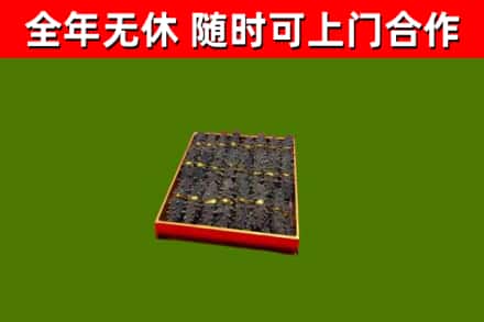 巍山县回收海参